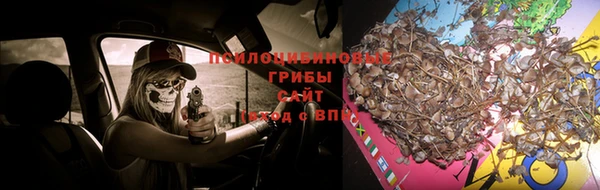 spice Балахна