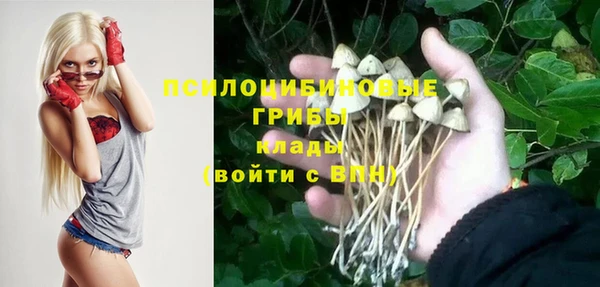 spice Балахна